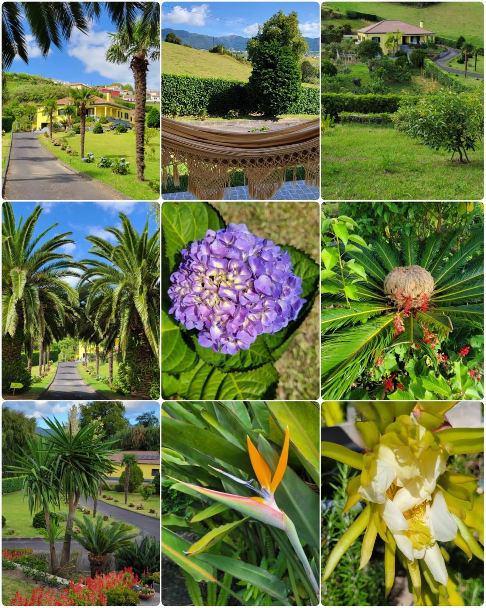 Quinta Das Palmeiras Повоасан Экстерьер фото